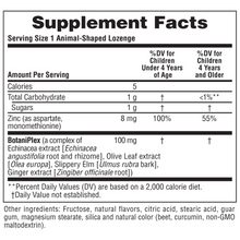 Load image into Gallery viewer, Animal Parade Kidzink Lozenges 90 stk