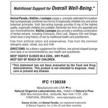 Load image into Gallery viewer, Animal Parade Kidzink Lozenges 90 stk